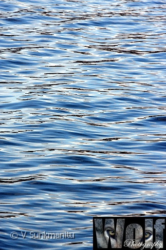 Alta Abstract 006 Copyright Villayat Sunkmanitu.jpg